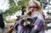 Animal Instinct: Family's Porter County home a refuge for healing wild animals