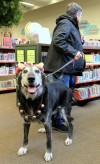 Holiday happenings at the library