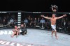 Bellator bringing MMA to The Venue