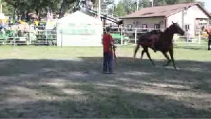 VIDEO: Preview - Lake County Fair 2011