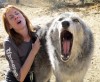 Veterans tame wolf-dogs at California rescue center  