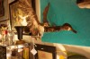 Shore_Upcycle_0564.JPG