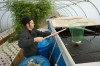 Matthew's Nursery Aquaponics