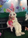 Bunny hops to Lowell for early visit