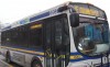 Take a day trip to Chicago via easygo bus service 