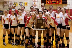 Andrean captures second straight volleyball regional title
