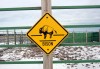 Buffalo still roam in Union Township
