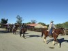 Travel Trip Dude Ranches