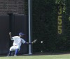 Cubs have no answer for Sox rookie Torres