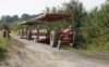 Apple orchard