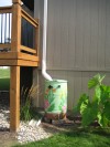 Go green with rain barrels in your garden