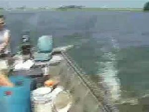 Asian carp
