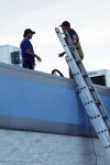 Pump price protester plucked from roof