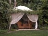 Secret Garden? Tips for creating backyard privacy