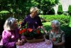 Garden clubs host walks through neighborhood home gardens