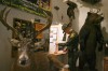 Deer hunting kicks off, expected to be a big one