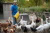 Animal Instinct: Family's Porter County home a refuge for healing wild animals