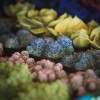 Succulent 1