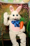 Easter Bunny Helper