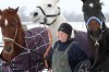 Hobart businesswoman provides home for horses