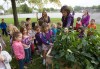 South Haven kindergartners reap rewards of teaching garden