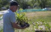 Urban garden taking root in Gary