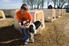 NWI farms face stricter federal rules that ban many tasks for minors