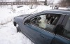 Stolen car pushed onto lake  