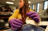 K-12 EDUCATION Local schools pass the test  