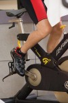 Jerry Stein Leg by Leg Pedal Portrait