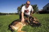 Hobart police dog retires into a new life