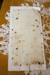 Bed Bug Inspection