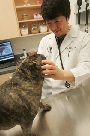 Best of the Region: Top three animal hospitals make sure region pets only get the best veterinary care