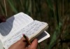 Tracking environmental restoration, stem by stem