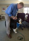 Dog visits hospice patients