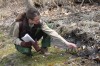 Hikers scan Indiana Dunes State Park for signs of season's first wildflowers