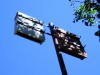 Bug-busting bats are needlessly maligned
