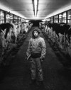 Chesterton native gets back to his roots in 'Boonville'