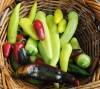 A Munster gardener shares his abundant yield of fruits and vegetables