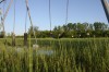 Parks show signs of decline in Flint
