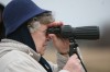 Sandhill cranes return for spring migration