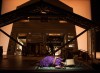 OFFBEAT: Steppenwolf's 'Head of Passes' a moving experience for cast/audience