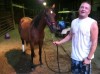 Pregnant horse rescued from railroad bridge