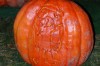Flinstones Pumpkins