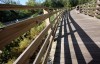A walk in the park