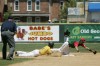 Marian Catholic's Rob Cifeli