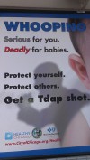 All whooping cough vaccines not created equal, researchers report