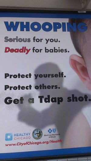 All whooping cough vaccines not created equal, researchers report