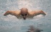 Seahorses bittersweet at state
