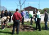 Valparaiso Arbor Day Celebration